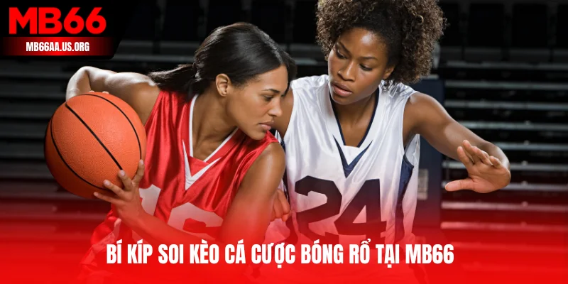Bí kíp soi kèo cá cược bóng rổ tại MB66 