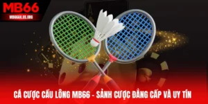 Cá cược cầu lông MB66