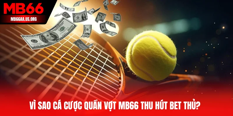 Cá Cược Quần Vợt MB66 - Đỉnh Cao Làm Giàu Từ Tennis Online 2 Giới thiệu bộ môn cá cược quần vợt tại MB66