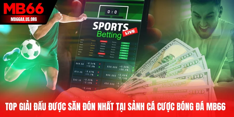 Các giải đấu được săn đón nhất tại sảnh cá cược bóng đá MB66