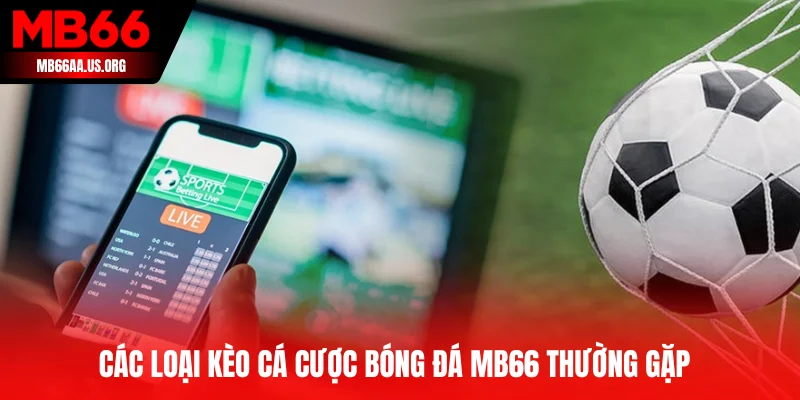 Các loại kèo cá cược bóng đá MB66 phổ biến nhất