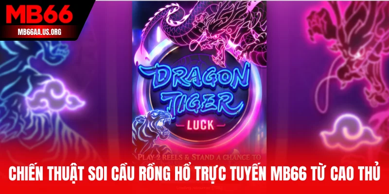 Chiến thuật soi cầu Rồng Hổ trực tuyến MB66 từ cao thủ