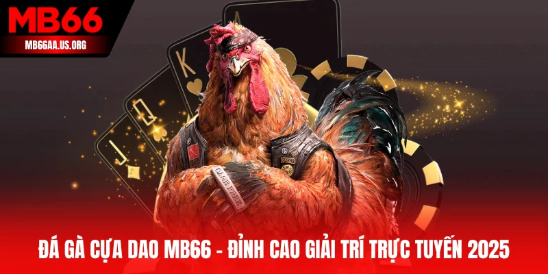 Đá gà cựa dao MB66