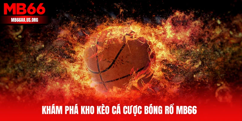 Các loại kèo cá cược bóng rổ MB66