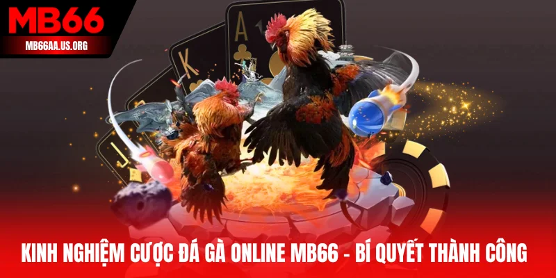 Kinh Nghiệm Cược Đá Gà Online MB66 – Bí Quyết Thành Công 1 kinh nghiệm cược đá gà online MB66