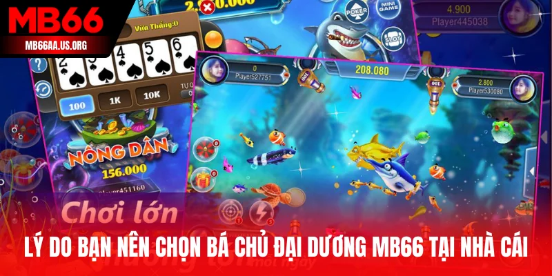 Bá Chủ Đại Dương MB66 - Chinh Phục Biển Sâu Rinh Quà Khủng 4 Lý do bạn nên chọn Bá Chủ Đại Dương MB66 tại nhà cái
