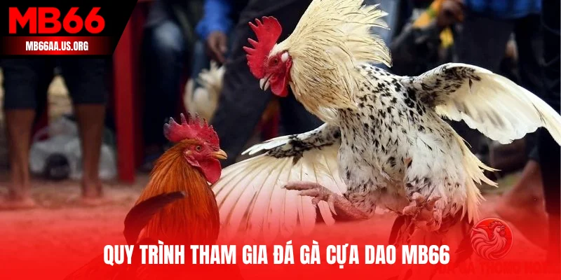 Quy trình tham gia đá gà cựa dao MB66