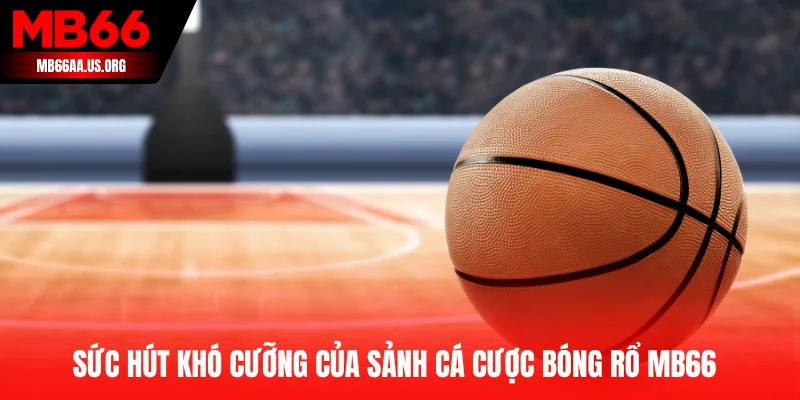 Sức hút khó cưỡng của sảnh cá cược cá cược bóng rổ MB66