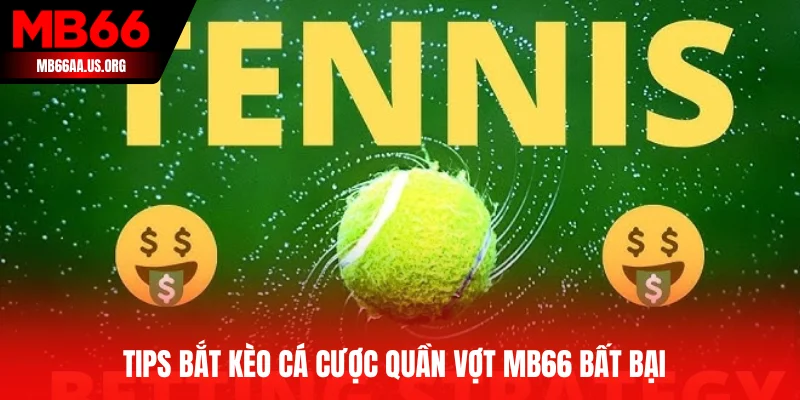Cá Cược Quần Vợt MB66 - Đỉnh Cao Làm Giàu Từ Tennis Online 4 Tips bắt kèo cá cược quần vợt MB66